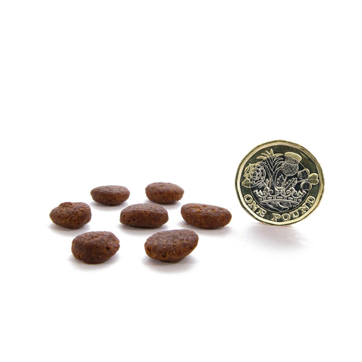 Canagan Complete Dry Food for Cats for All Life Stages-Pettitt and Boo