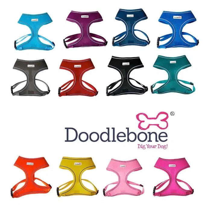 Doodlebone Originals Airmesh Dog Harness-Pettitt and Boo