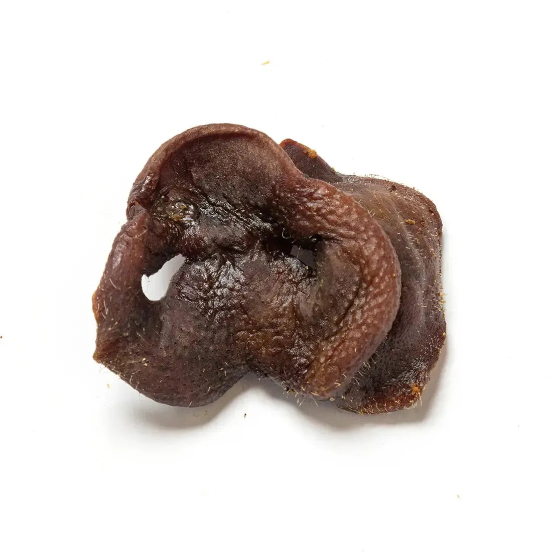 Dried Pig Snout-Pettitt and Boo