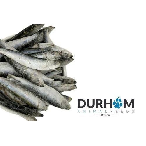 Frozen Raw Sprats 1kg-Pettitt and Boo