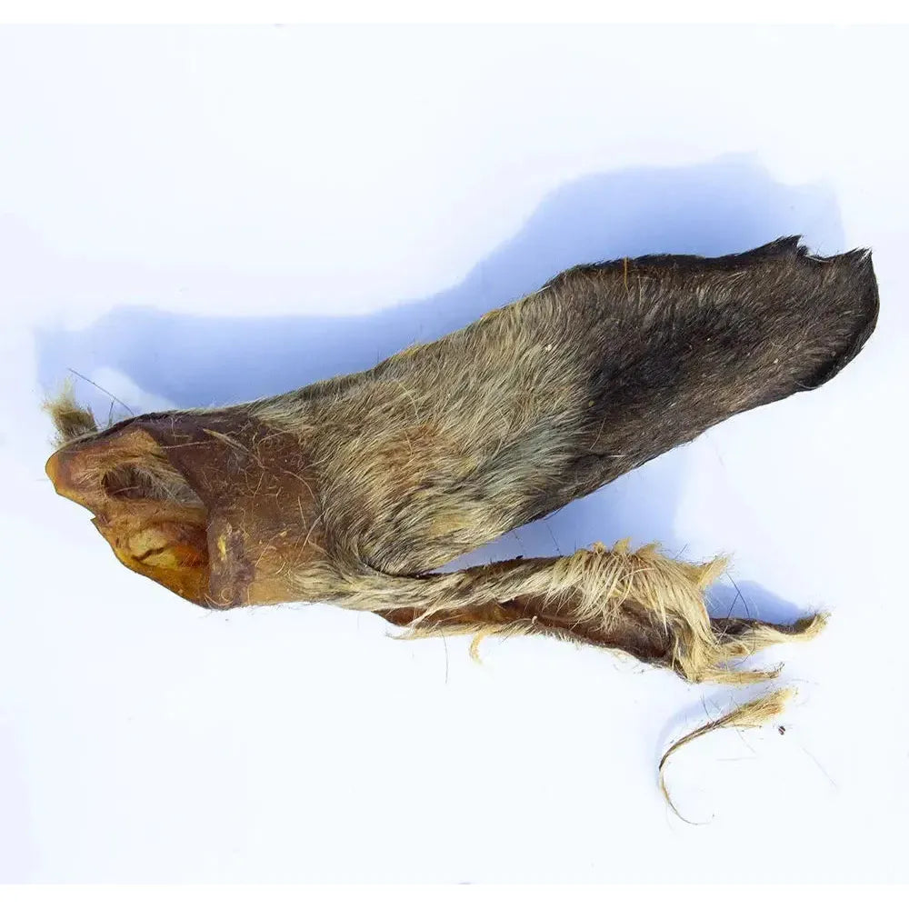 Hairy Lamb Ears-Pettitt and Boo