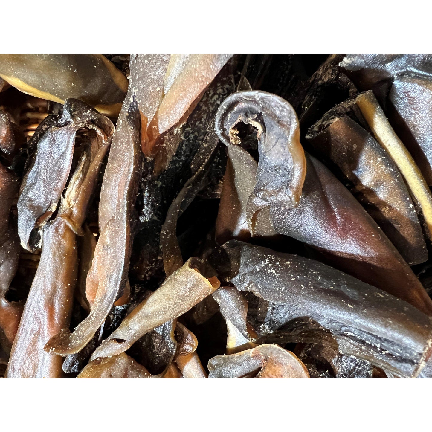 Dried Camel Skin pieces 100g-Pettitt and Boo