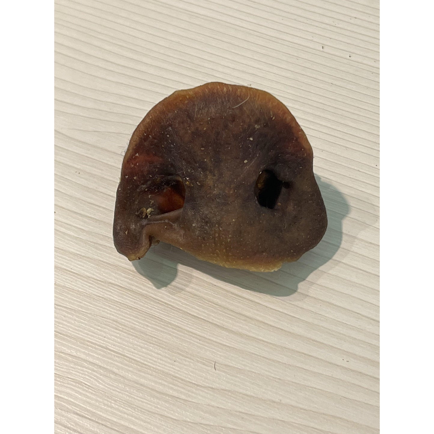 Dried Pig Snout-Pettitt and Boo