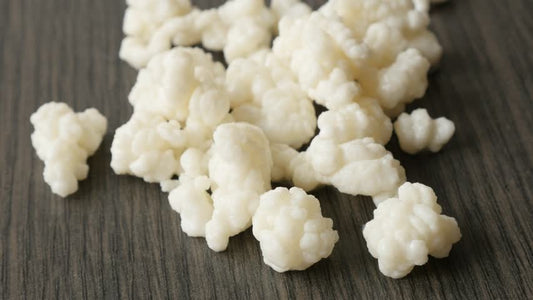 8 Great benefits of giving your dog KEFIR.