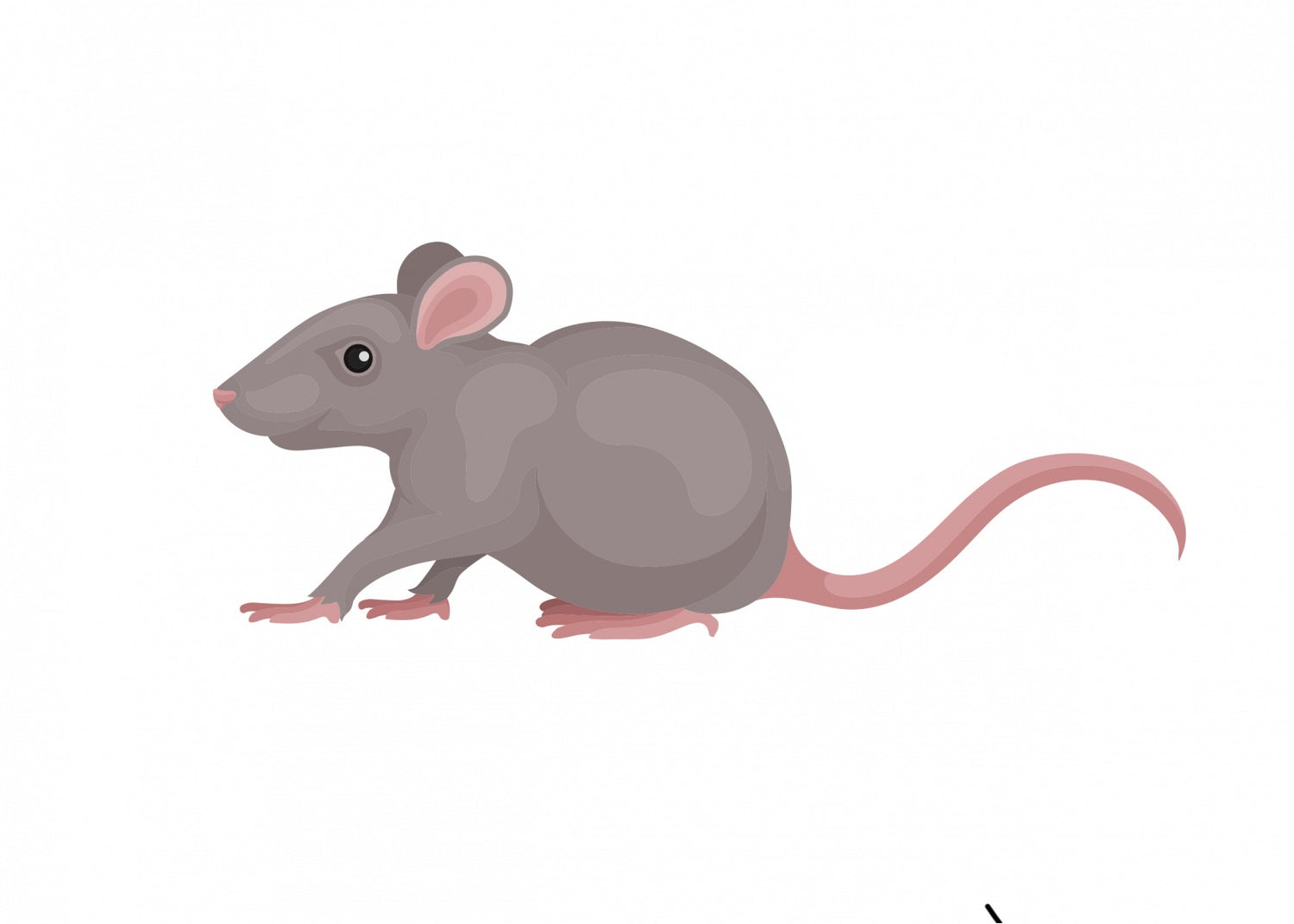 Frozen Mice and Rats