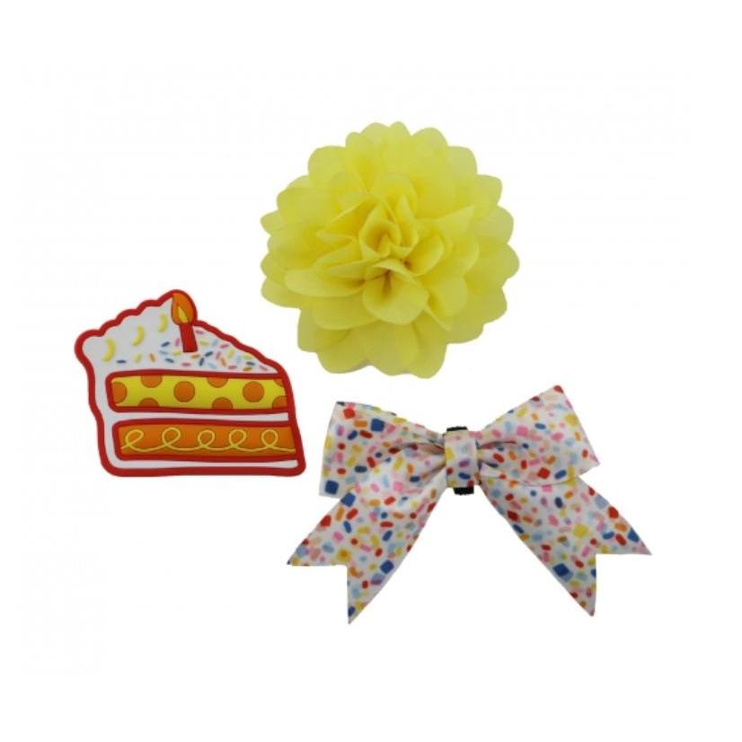 Ancol Pawty Birthday Collar Accessories-Pettitt and Boo