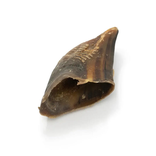 Beef Hooves-Pettitt and Boo
