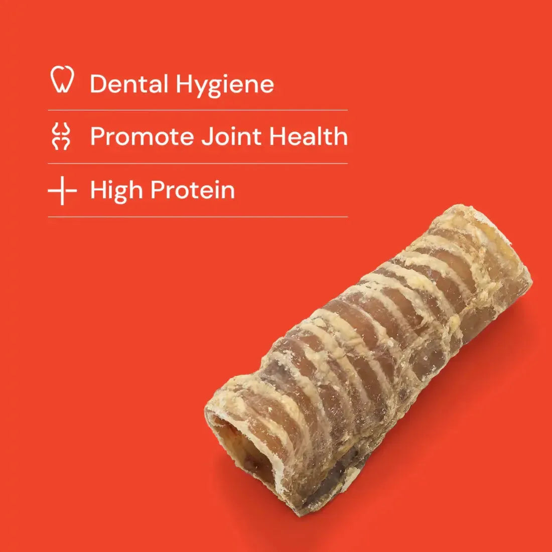 Beef Trachea 100g-Pettitt and Boo
