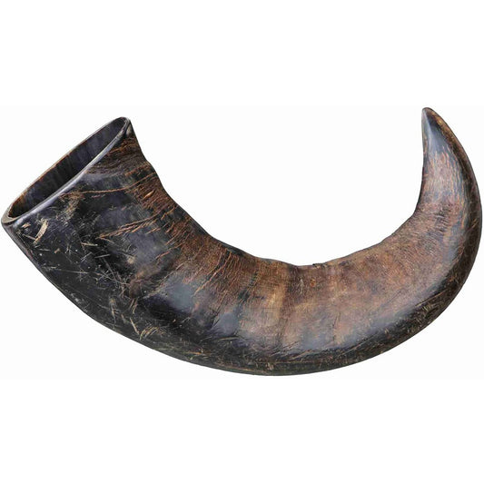 Curled Buffalo Horn Standard-Pettitt and Boo
