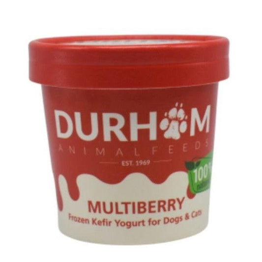 DAF Organic Kefir Yogurt 85ml-Pettitt and Boo