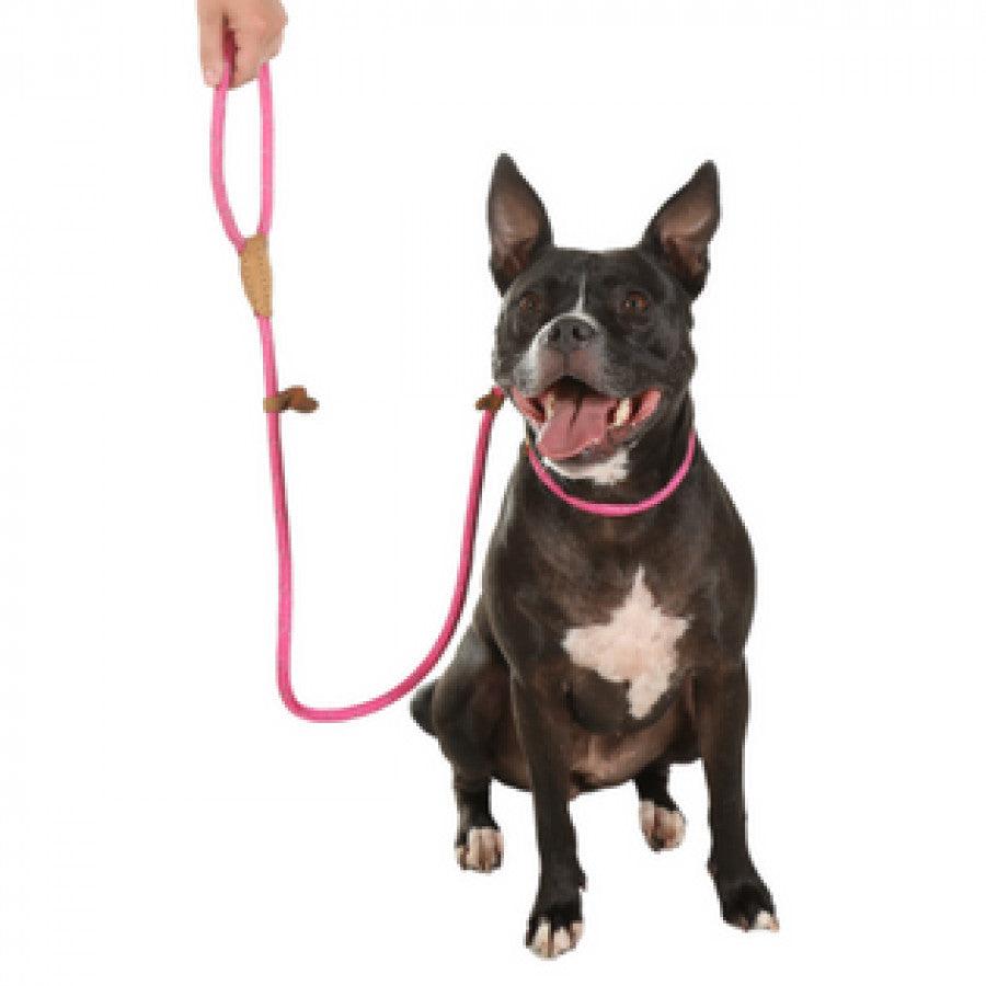 Doodlebone Originals Dog Slip Lead 150cm-Pettitt and Boo