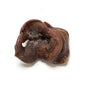Dried Pig Snout-Pettitt and Boo