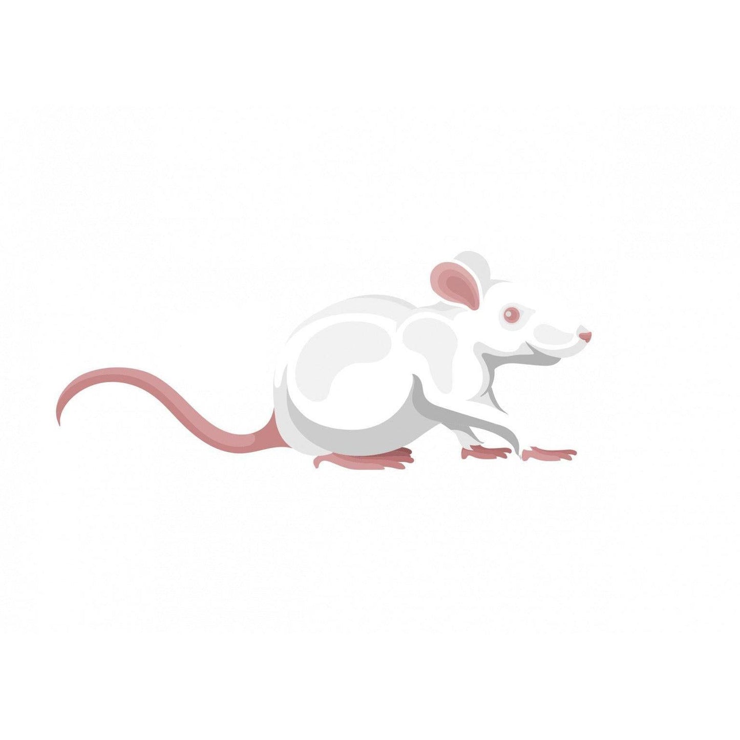 Frozen Mice-Pettitt and Boo