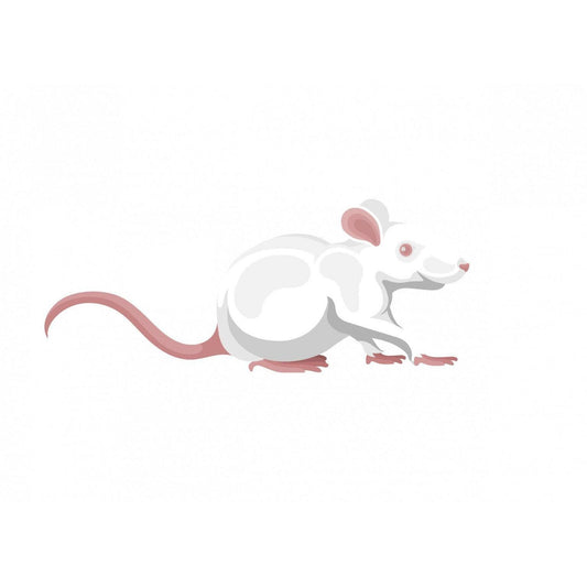 Frozen Mice-Pettitt and Boo