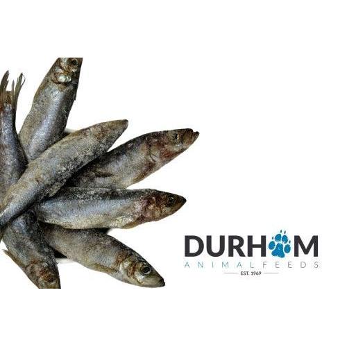 Frozen Raw Herring 1kg-Pettitt and Boo