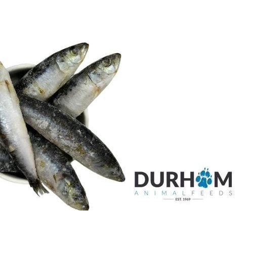 Frozen Raw Sardines 1kg-Pettitt and Boo