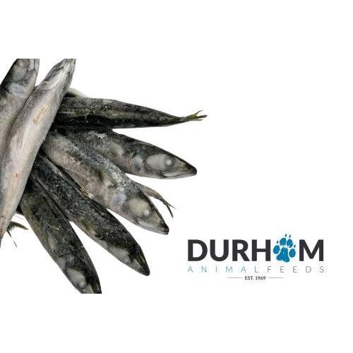 Frozen Raw Whole Mackerel 1kg-Pettitt and Boo