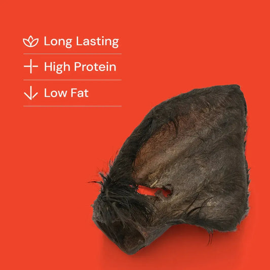 Hairy Cows Ear XL-Pettitt and Boo
