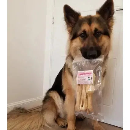 Lamb Feet-Pettitt and Boo