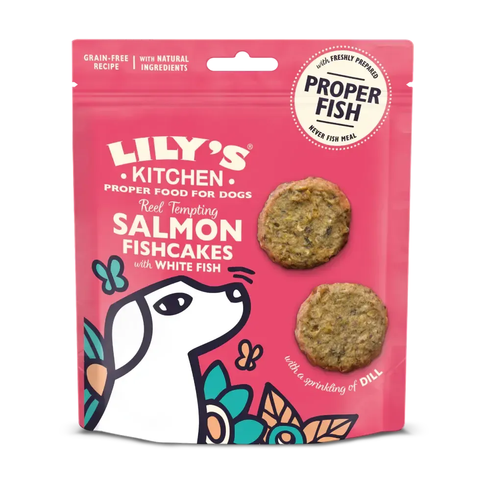 Lily’s Kitchen Salmon Fishcakes with White Fish 70g-Pettitt and Boo