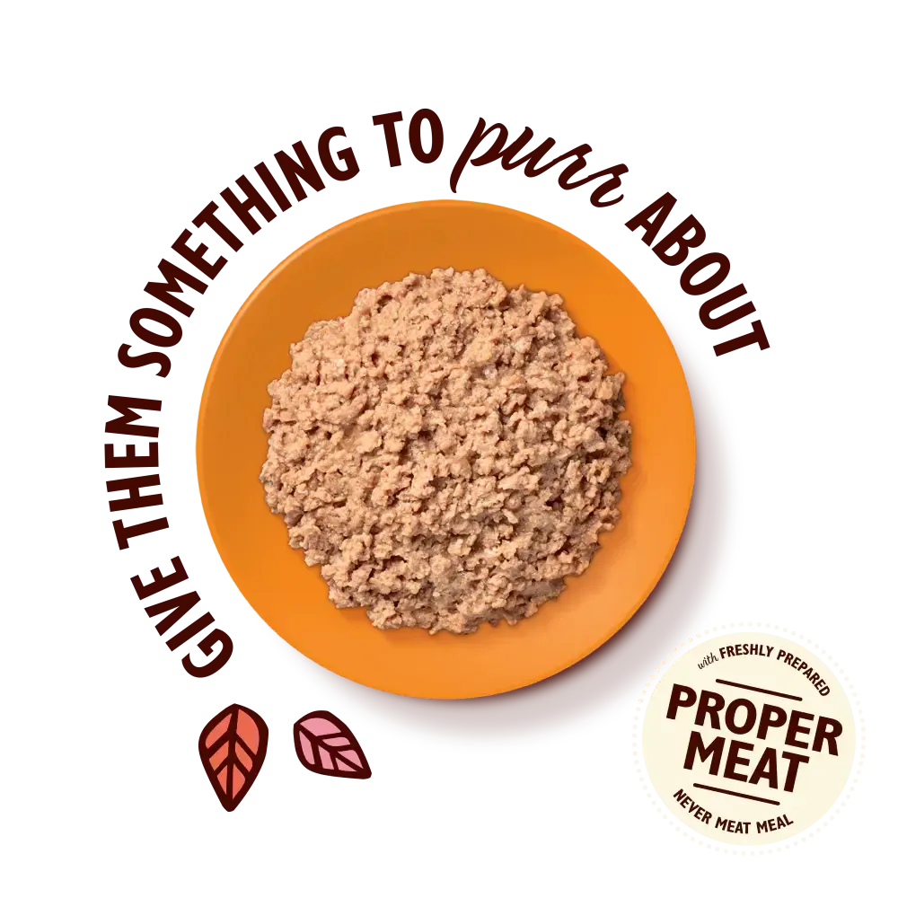 Lily’s Kitchen Smooth Pate For Cats 85g-Pettitt and Boo