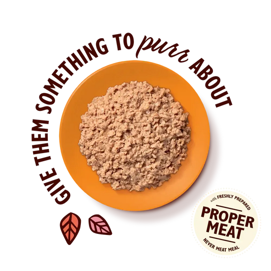 Lily’s Kitchen Smooth Pate For Cats 85g-Pettitt and Boo