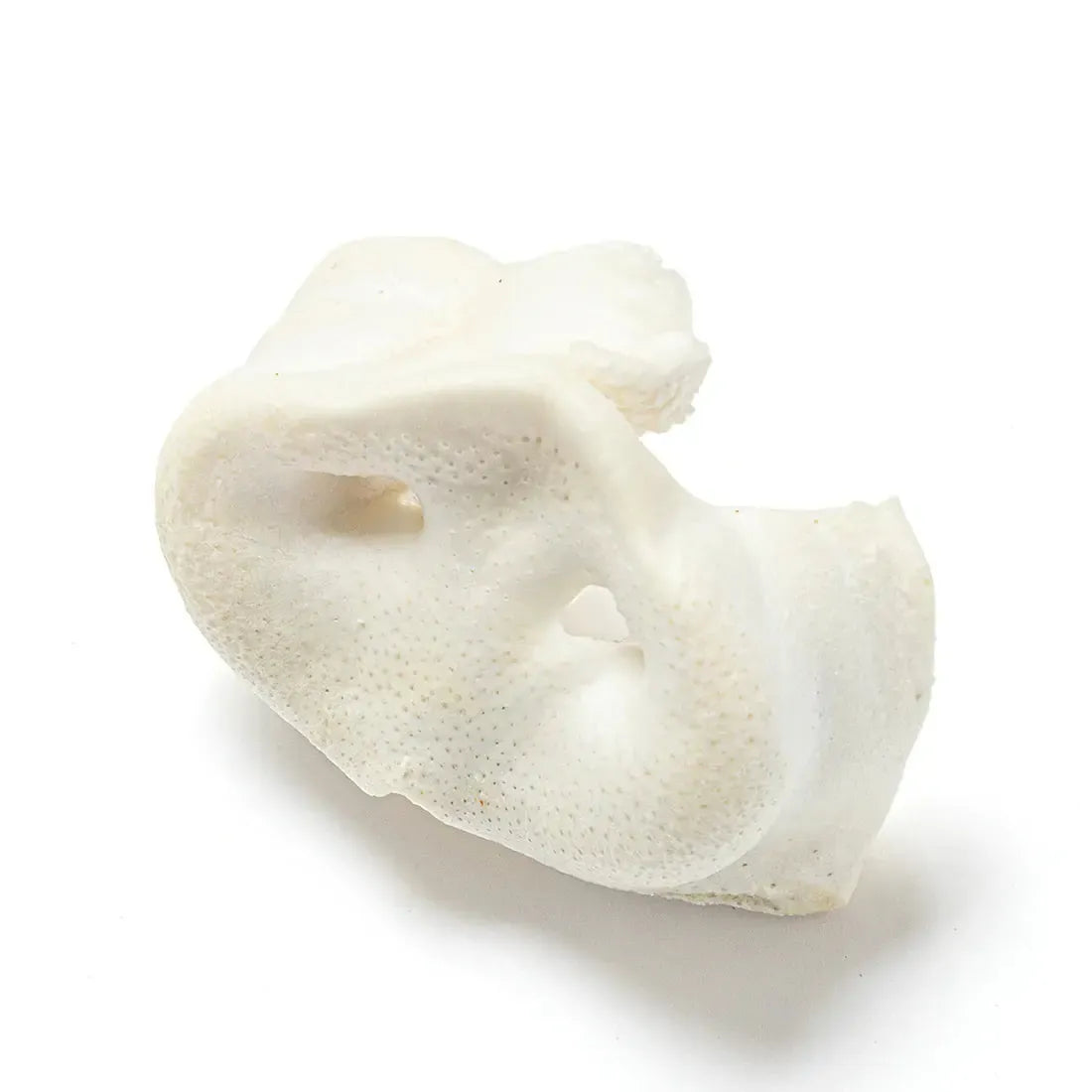 Puffed Porky Snouts-Pettitt and Boo