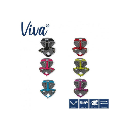 Viva Padded Harness XL 70-98cm-Pettitt and Boo