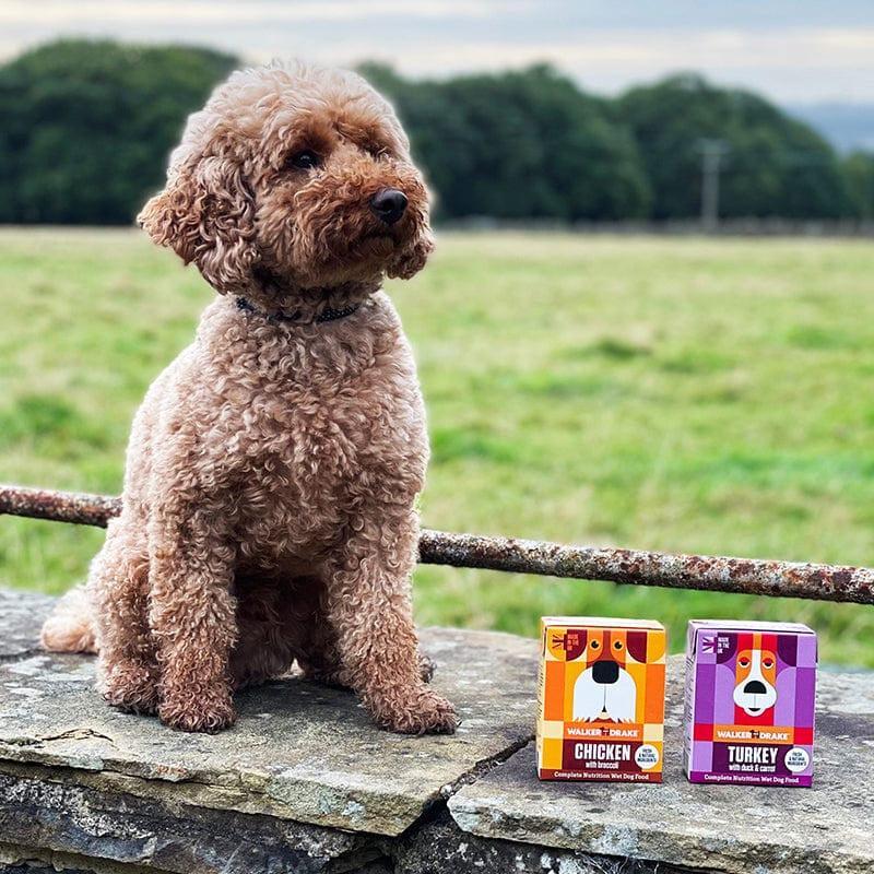 Walker and Drake Complete Wet Food 390g-Pettitt and Boo