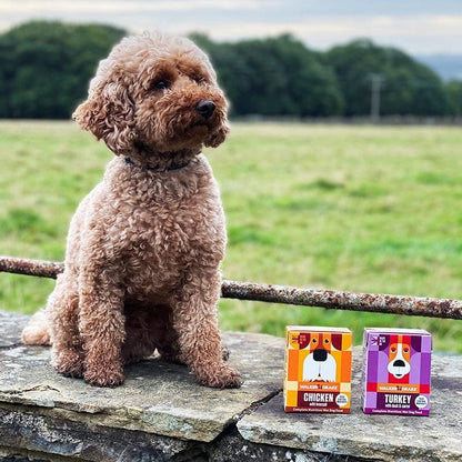 Walker and Drake Complete Wet Food 390g-Pettitt and Boo