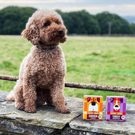 Walker and Drake Complete Wet Food 390g-Pettitt and Boo