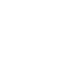 Made for Active Dogs