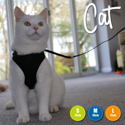 Ancol Cat Harness & Lead Set-Pettitt and Boo