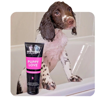 Animology Dog Shampoo Range - 250ml-Pettitt and Boo