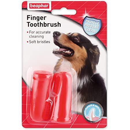 Beaphar Finger Toothbrush Twin Pack-Pettitt and Boo