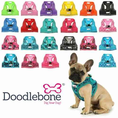 Doodlebone Originals Snappy Dog Harness-Pettitt and Boo