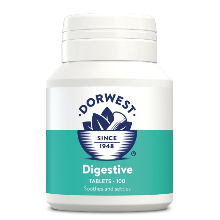 Dorwest Digestive Tablets x100-Pettitt and Boo