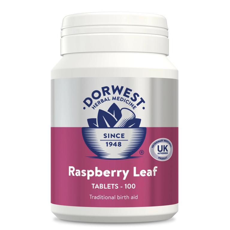 Dorwest Raspberry Leaf Tablets for Dogs And Cats-Pettitt and Boo