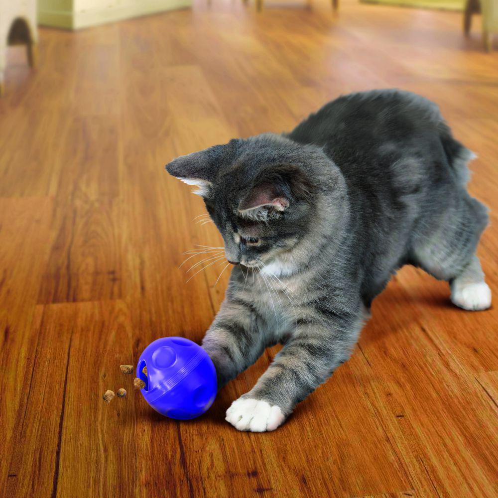 KONG Cat Treat Dispensing Ball-Pettitt and Boo