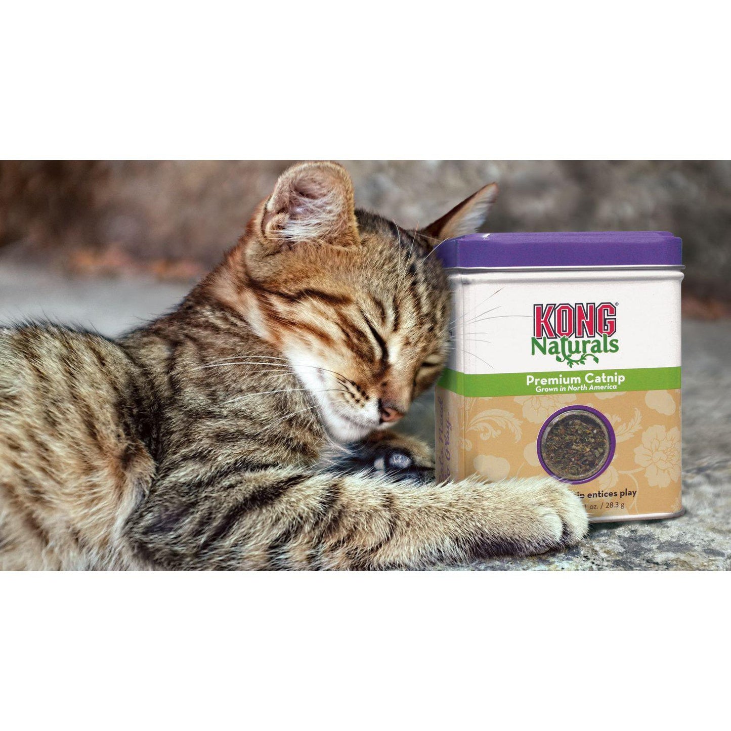 KONG Natural Premium Catnip-Pettitt and Boo