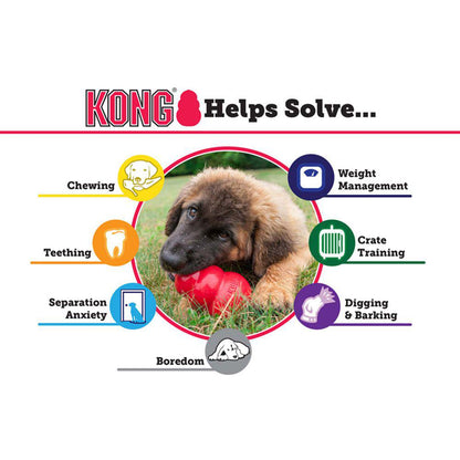 KONG Senior-Pettitt and Boo