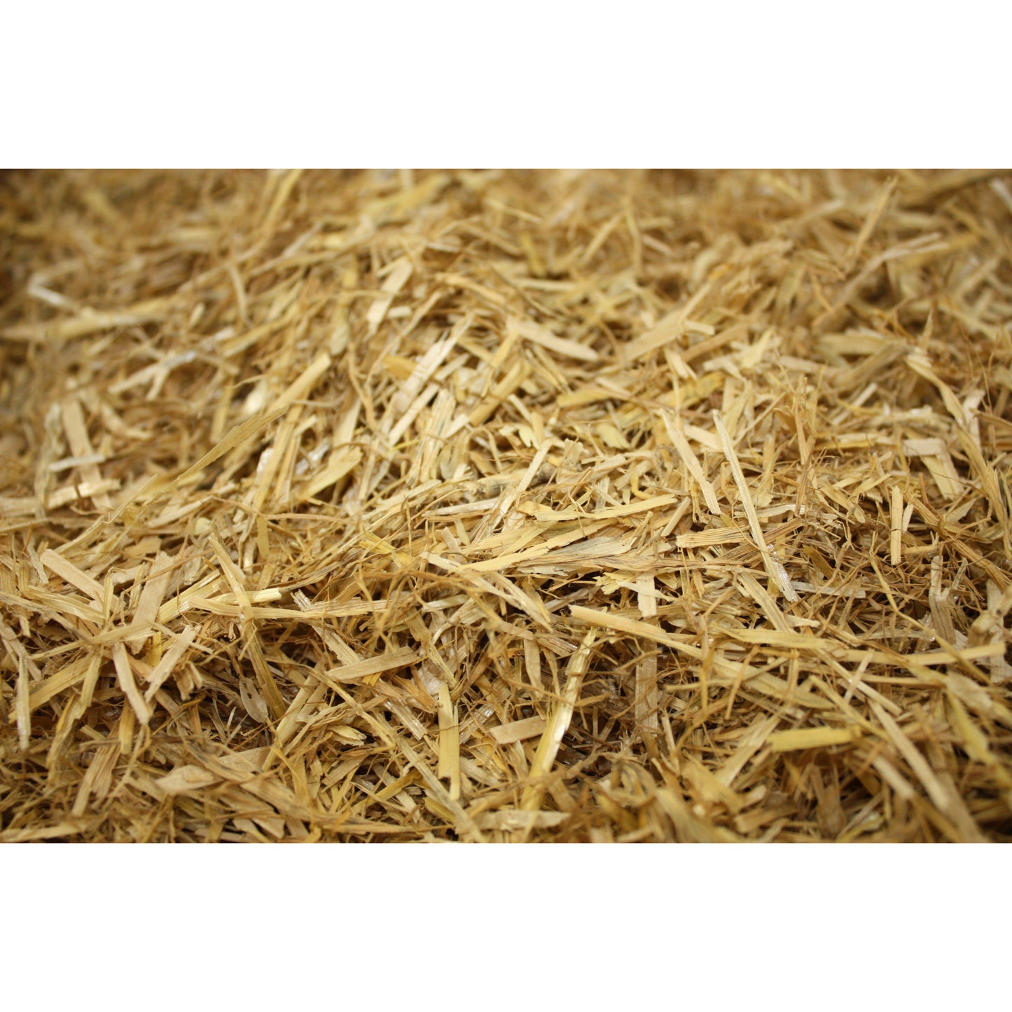 Large Loose Straw (Local Delivery or Collection Only)-Pettitt and Boo